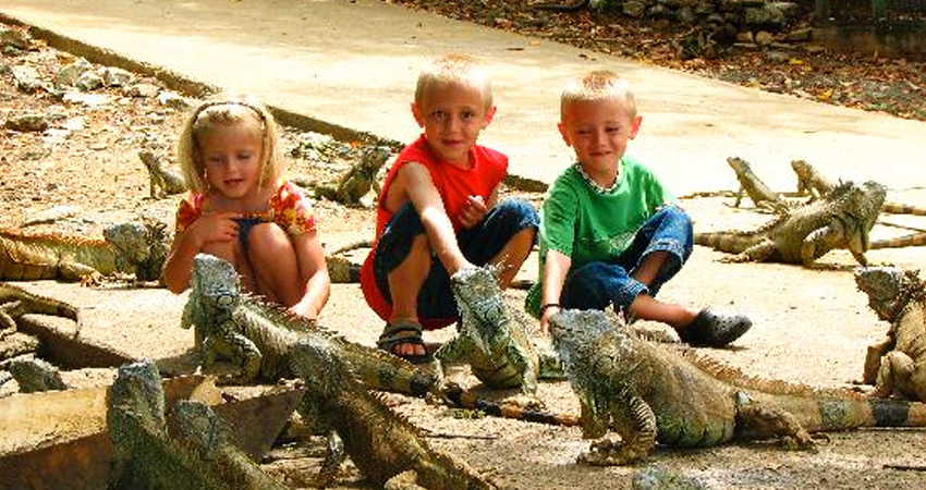 Roatan Iguana Farm Tour