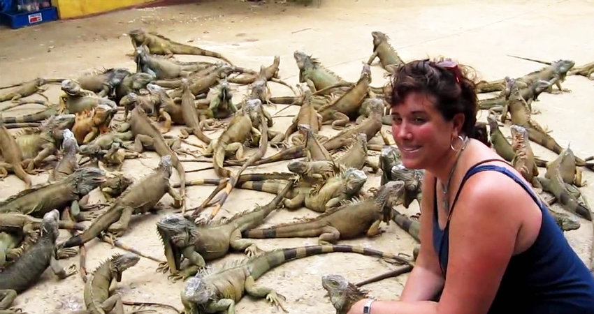 Roatan Iguana Farm Tour