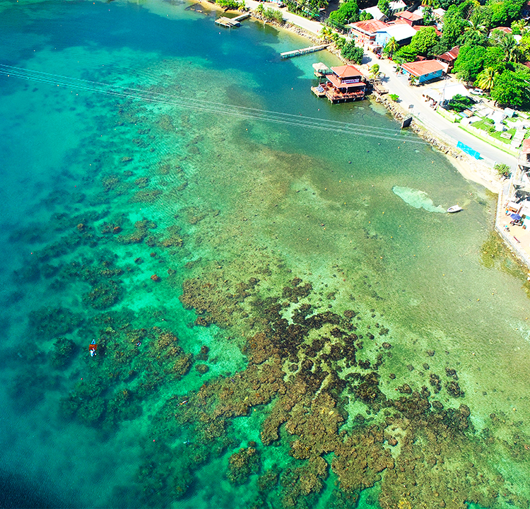 Why Roatan Island