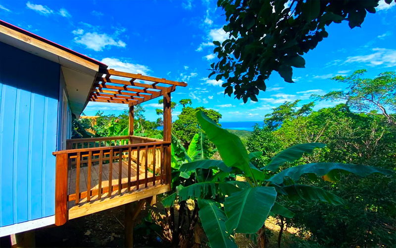 Roatan Mangrove Tunnels