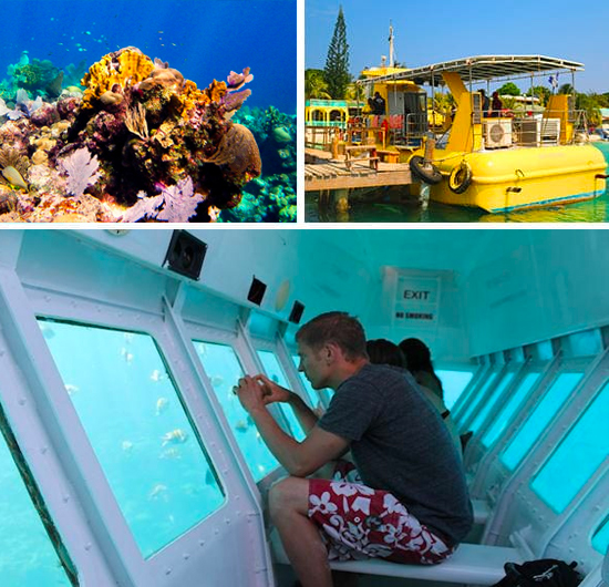 Roatan Glassbottom Boat