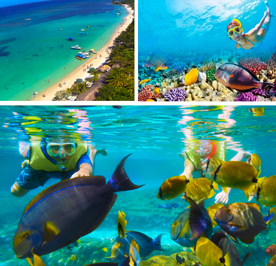 Roatan Snorkeling