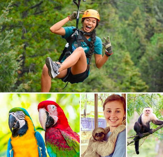 Zipline, Wildlife Park & Shuttle