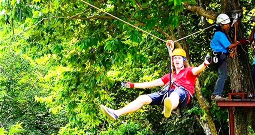 Roatan Zipline and Wildlife Tour