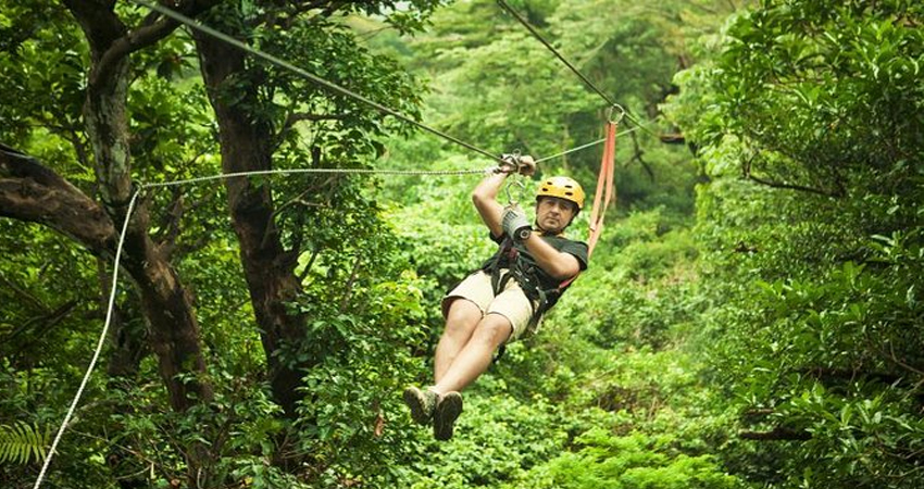 Roatan Zipline and Wildlife Tour